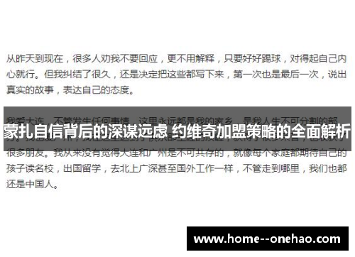 蒙扎自信背后的深谋远虑 约维奇加盟策略的全面解析