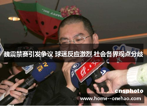 魏震禁赛引发争议 球迷反应激烈 社会各界观点分歧